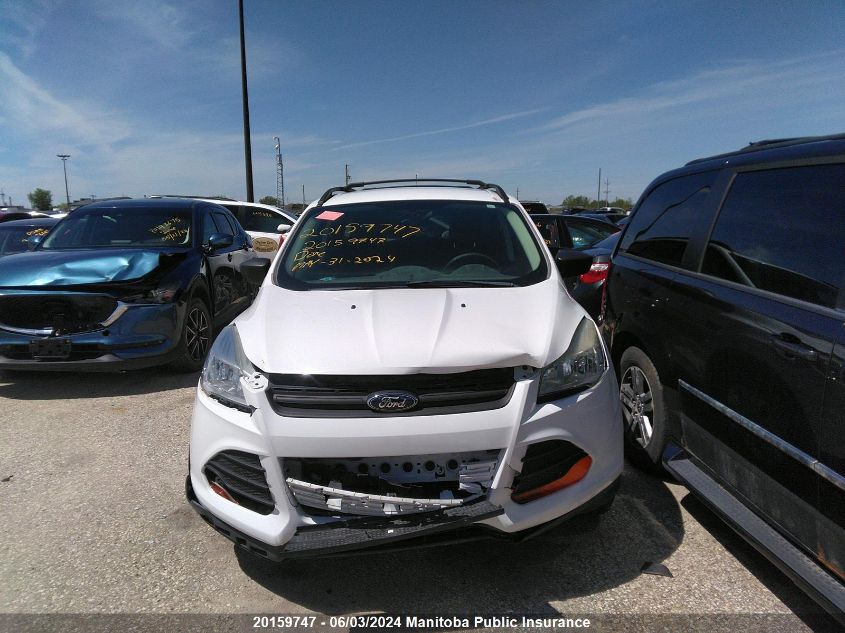 2013 Ford Escape S VIN: 1FMCU0F71DUD42900 Lot: 20159747