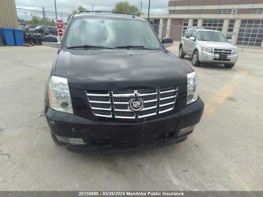 2010 Cadillac Escalade Hybrid VIN: 1GYUKEEJ2AR222752 Lot: 20159890
