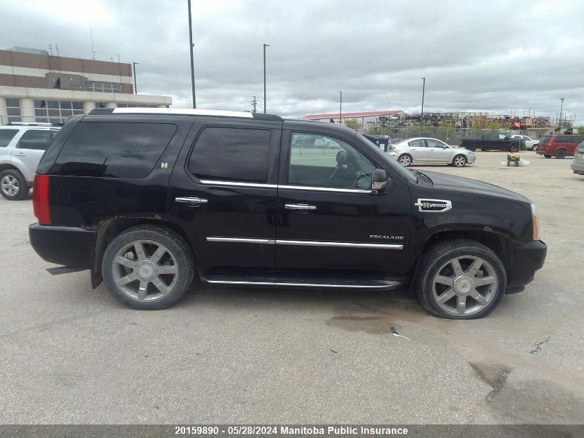 2010 Cadillac Escalade Hybrid VIN: 1GYUKEEJ2AR222752 Lot: 20159890