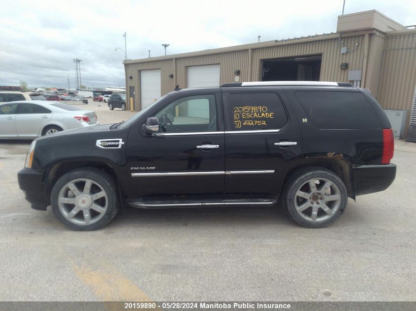 2010 Cadillac Escalade Hybrid VIN: 1GYUKEEJ2AR222752 Lot: 20159890