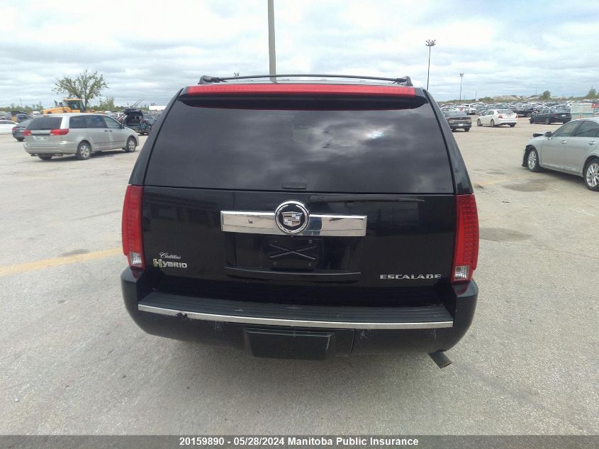 2010 Cadillac Escalade Hybrid VIN: 1GYUKEEJ2AR222752 Lot: 20159890