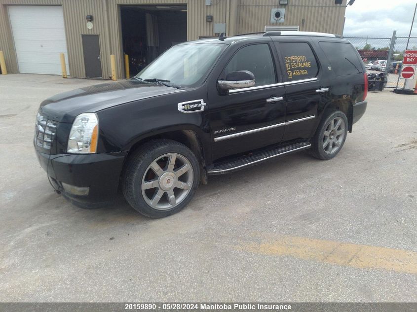 2010 Cadillac Escalade Hybrid VIN: 1GYUKEEJ2AR222752 Lot: 20159890