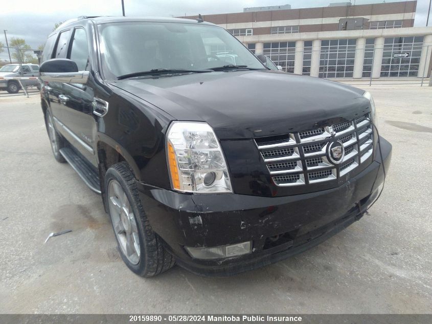 2010 Cadillac Escalade Hybrid VIN: 1GYUKEEJ2AR222752 Lot: 20159890