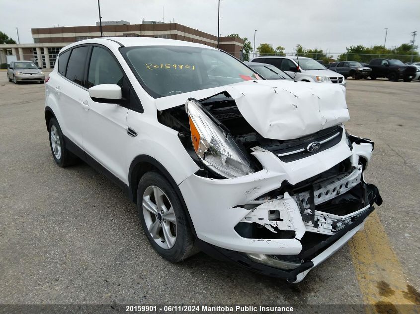 2014 Ford Escape Se VIN: 1FMCU0GX0EUD34254 Lot: 20159901