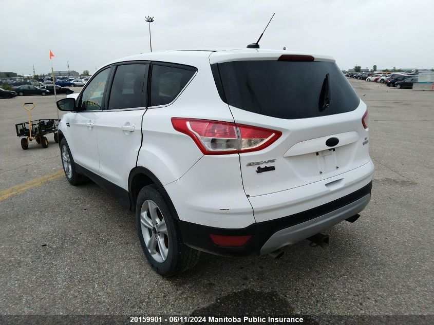 2014 Ford Escape Se VIN: 1FMCU0GX0EUD34254 Lot: 20159901