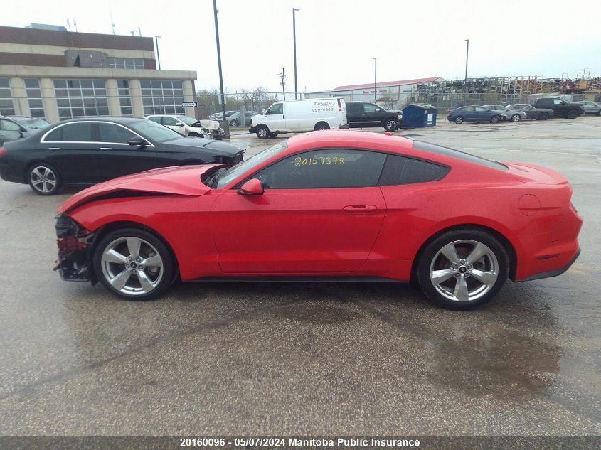 2019 Ford Mustang VIN: 1FA6P8TH2K5155005 Lot: 20160096