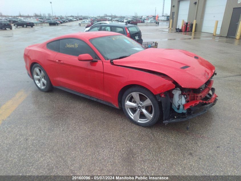 2019 Ford Mustang VIN: 1FA6P8TH2K5155005 Lot: 20160096