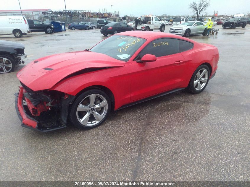 2019 Ford Mustang VIN: 1FA6P8TH2K5155005 Lot: 20160096