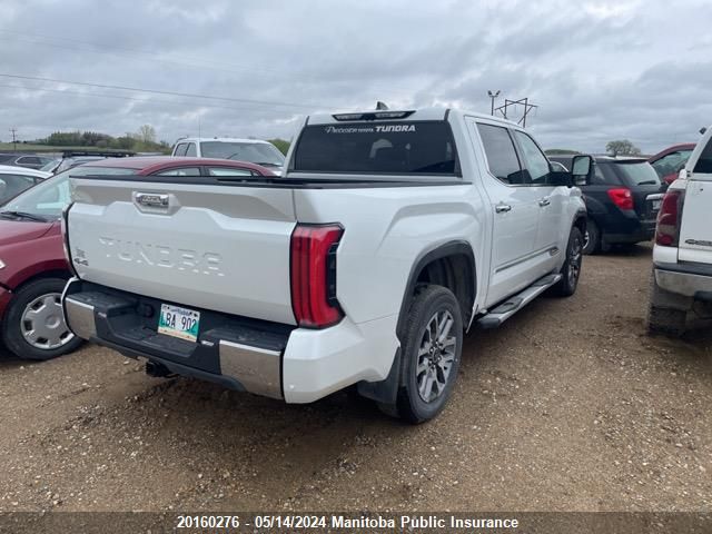 2023 Toyota Tundra Platinum Hybrid Crewmax VIN: 5TFMC5DBXPX032201 Lot: 20160276