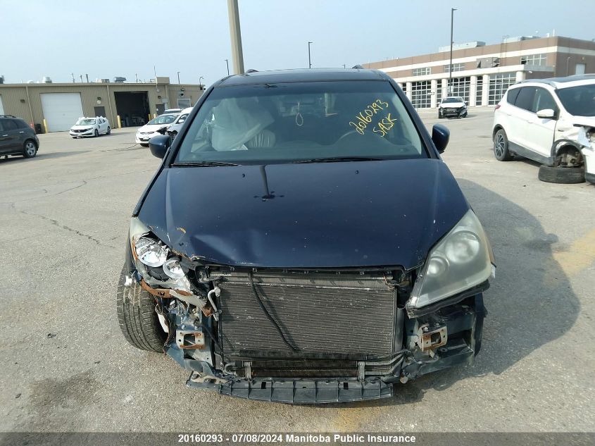 2005 Honda Odyssey Exl VIN: 5FNRL38605B504601 Lot: 20160293