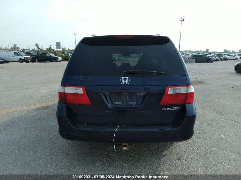 2005 Honda Odyssey Exl VIN: 5FNRL38605B504601 Lot: 20160293