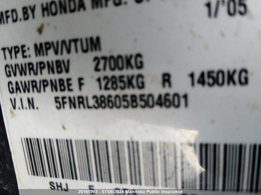 2005 Honda Odyssey Exl VIN: 5FNRL38605B504601 Lot: 20160293