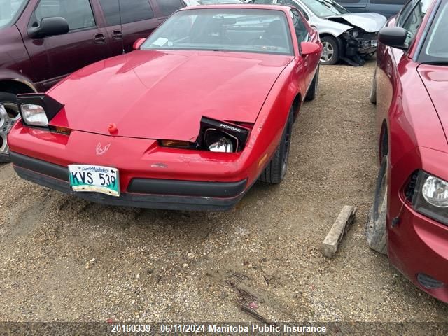 1988 Pontiac Firebird VIN: 1G2FS21S7JL212785 Lot: 20160339