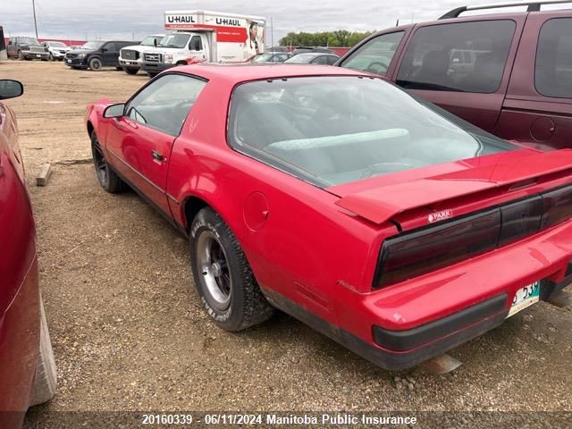 1988 Pontiac Firebird VIN: 1G2FS21S7JL212785 Lot: 20160339