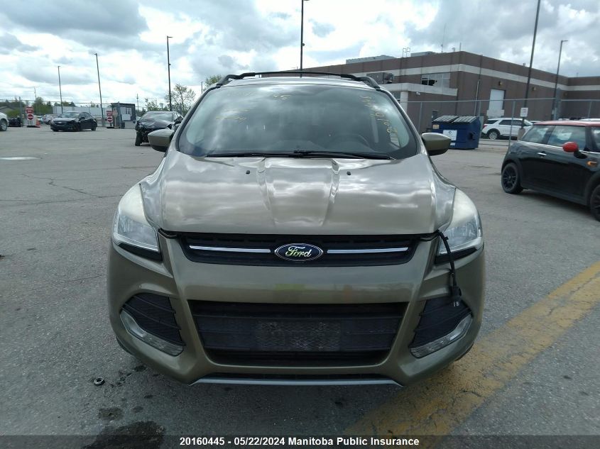 2013 Ford Escape Se VIN: 1FMCU0G90DUB58287 Lot: 20160445