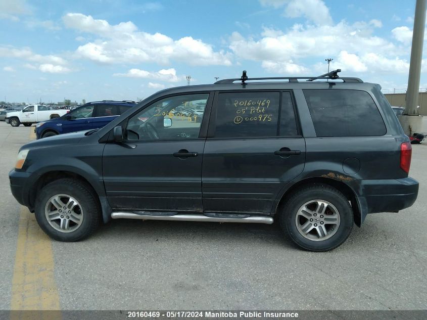 2005 Honda Pilot Ex-L VIN: 2HKYF18675H000975 Lot: 20160469