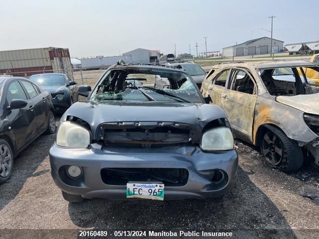 2004 Hyundai Santa Fe Gl VIN: KM8SB73D44U704352 Lot: 20160489