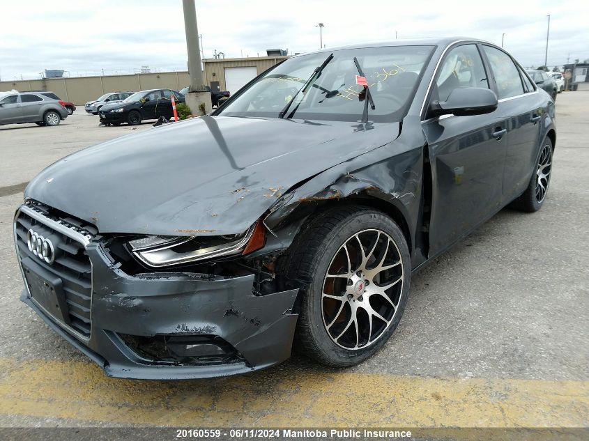 2013 Audi A4 2.0T Quattro VIN: WAUFFAFL8DN039263 Lot: 20160559