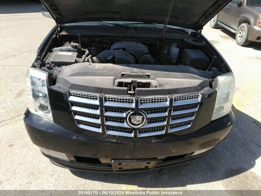 2009 Cadillac Escalade VIN: 1GYFK13289R150397 Lot: 20160770