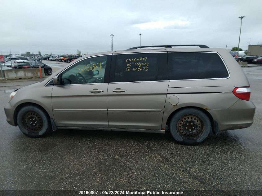2006 Honda Odyssey Ex-L VIN: 5FNRL38776B509675 Lot: 20160807