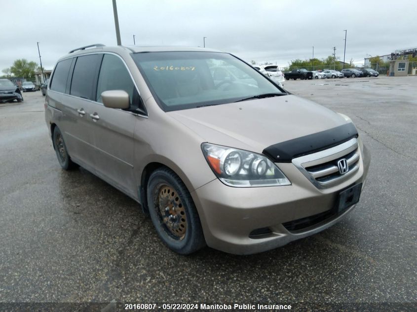 2006 Honda Odyssey Ex-L VIN: 5FNRL38776B509675 Lot: 20160807