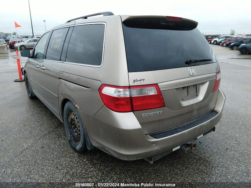 2006 Honda Odyssey Ex-L VIN: 5FNRL38776B509675 Lot: 20160807