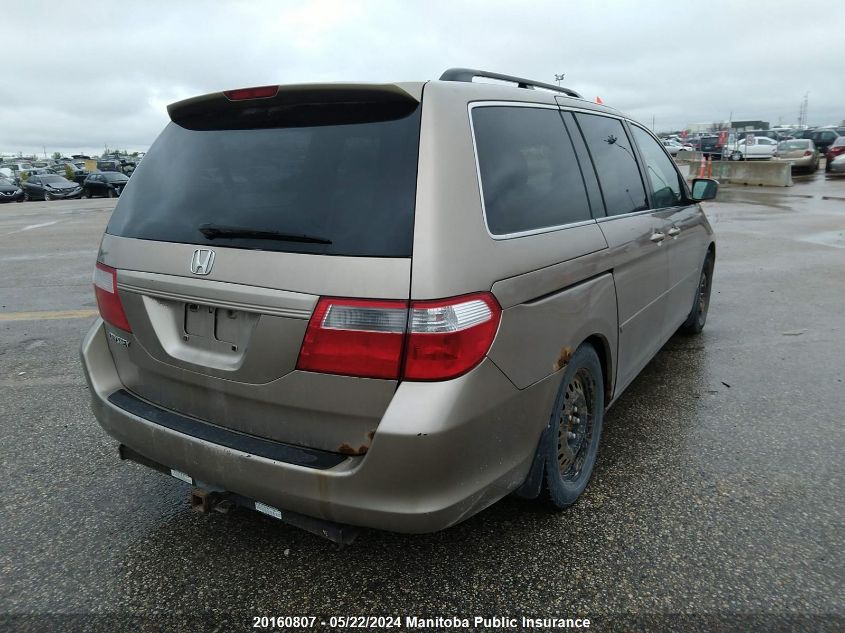 2006 Honda Odyssey Ex-L VIN: 5FNRL38776B509675 Lot: 20160807