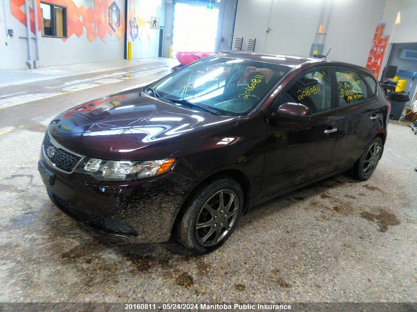 2011 Kia Forte Ex VIN: KNAFU5A25B5331543 Lot: 20160811