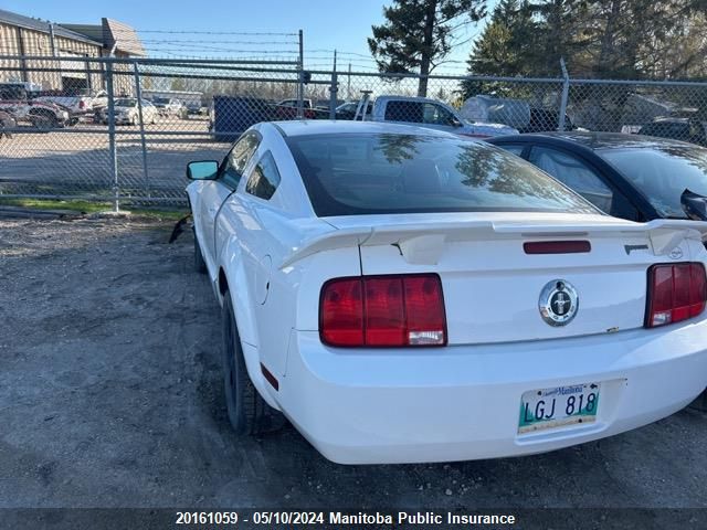 2007 Ford Mustang VIN: 1ZVFT80N175271865 Lot: 20161059