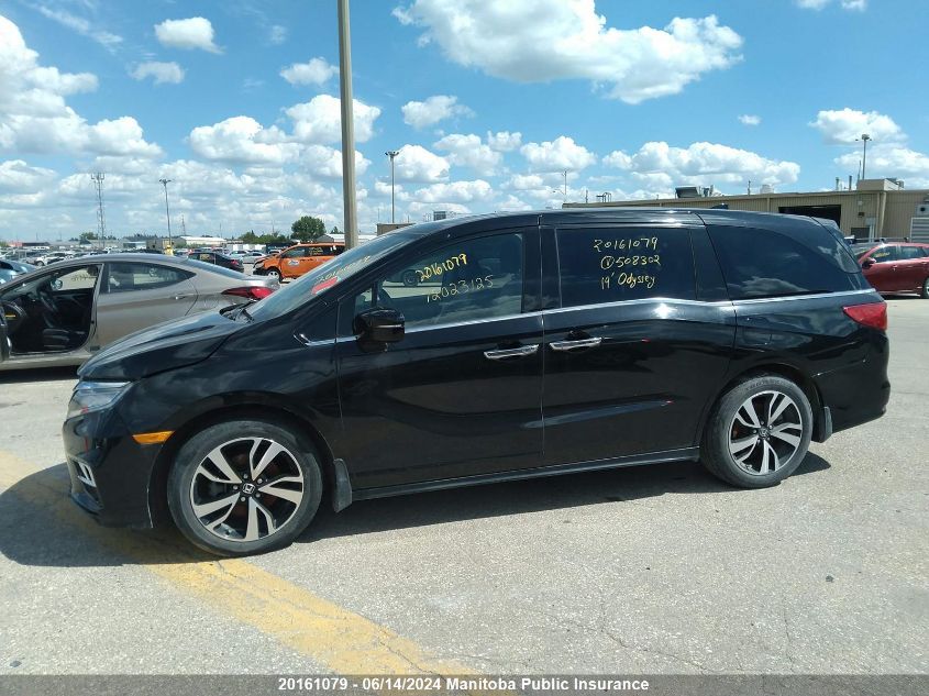 2019 Honda Odyssey Touring VIN: 5FNRL6H81KB508302 Lot: 20161079