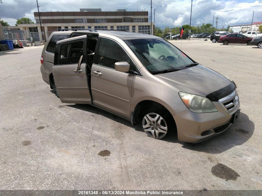 2006 Honda Odyssey Ex-L VIN: 5FNRL38646B507955 Lot: 20161348