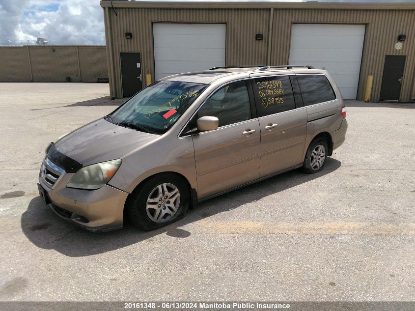 2006 Honda Odyssey Ex-L VIN: 5FNRL38646B507955 Lot: 20161348