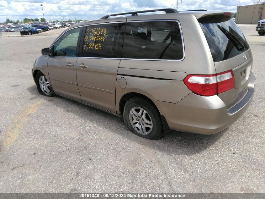 2006 Honda Odyssey Ex-L VIN: 5FNRL38646B507955 Lot: 20161348