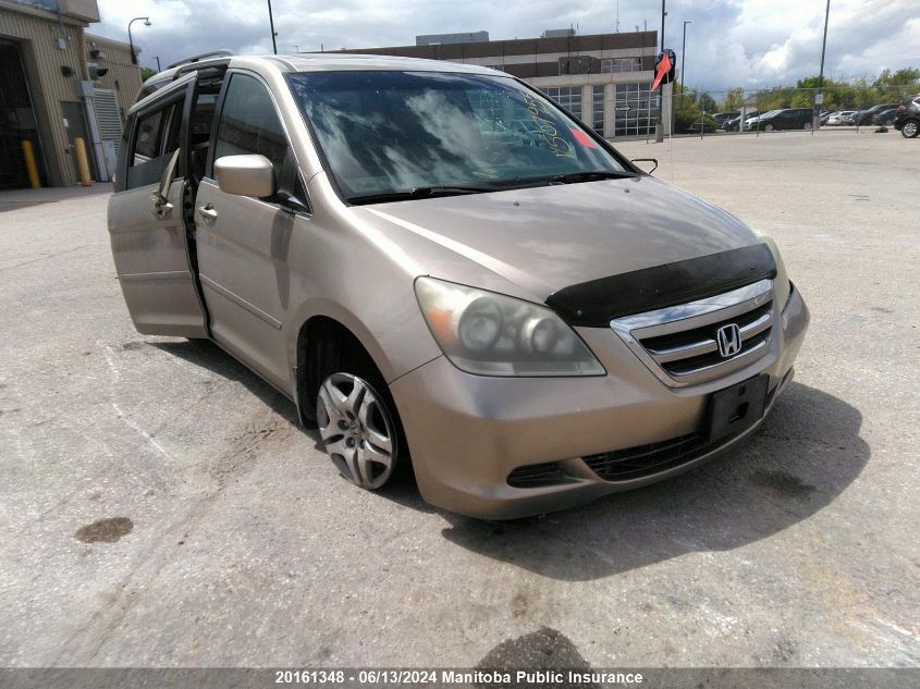 2006 Honda Odyssey Ex-L VIN: 5FNRL38646B507955 Lot: 20161348