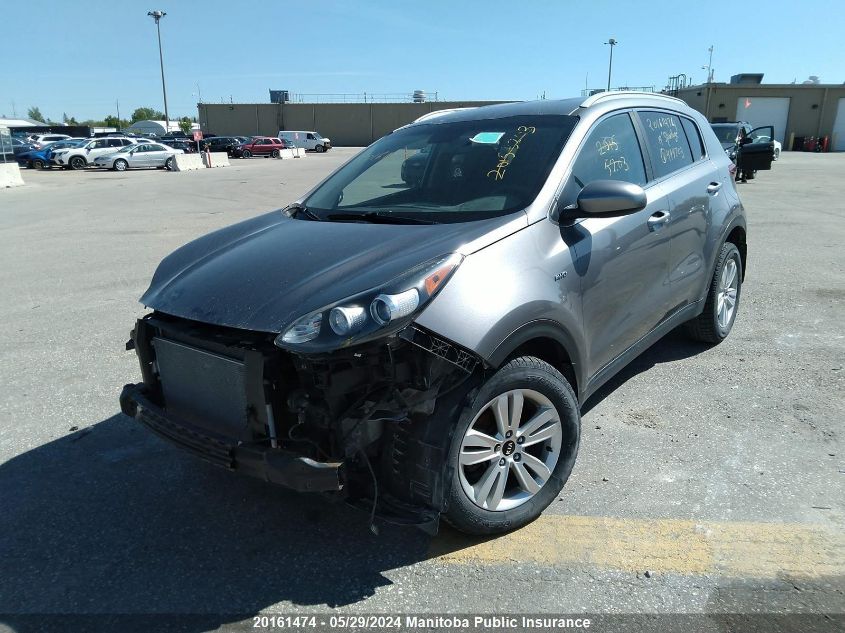 2019 Kia Sportage Lx VIN: KNDPMCAC6K7499703 Lot: 20161474