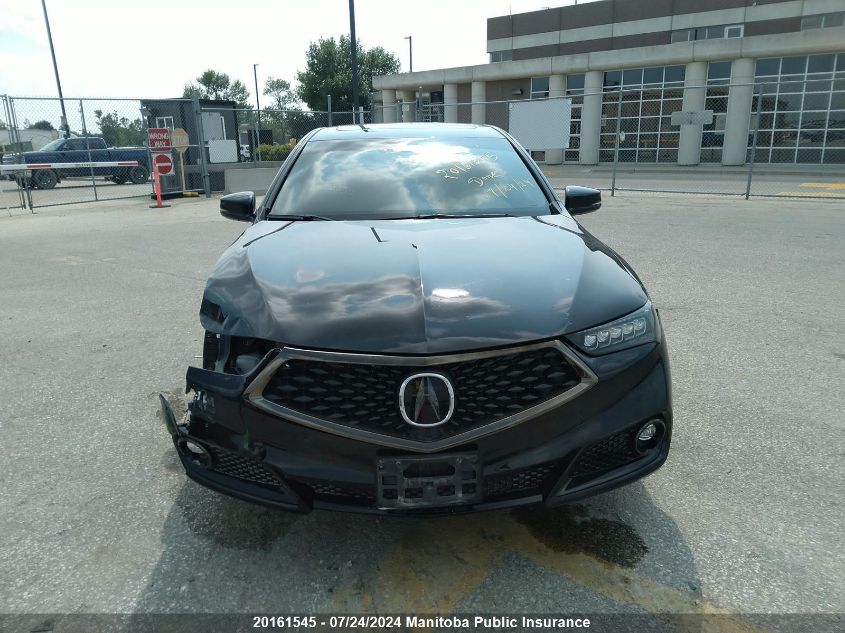 2019 Acura Tlx V6 VIN: 19UUB3F66KA802284 Lot: 20161545