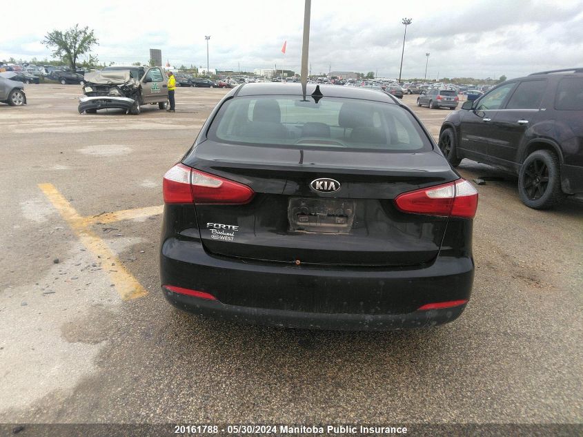 2014 Kia Forte Lx VIN: KNAFX4A64E5048575 Lot: 20161788