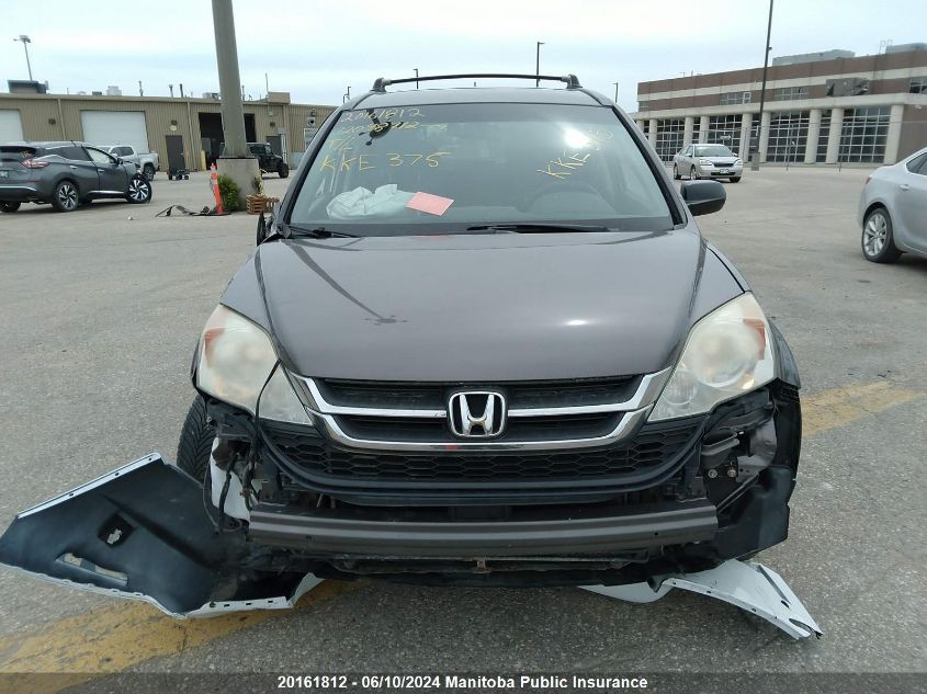 2010 Honda Cr-V Lx VIN: 5J6RE4H37AL812811 Lot: 20161812