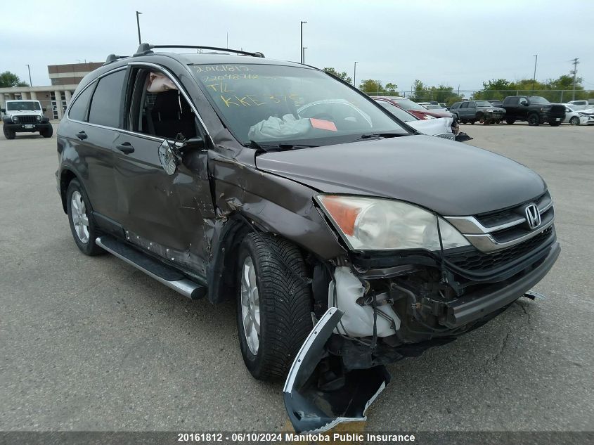 2010 Honda Cr-V Lx VIN: 5J6RE4H37AL812811 Lot: 20161812