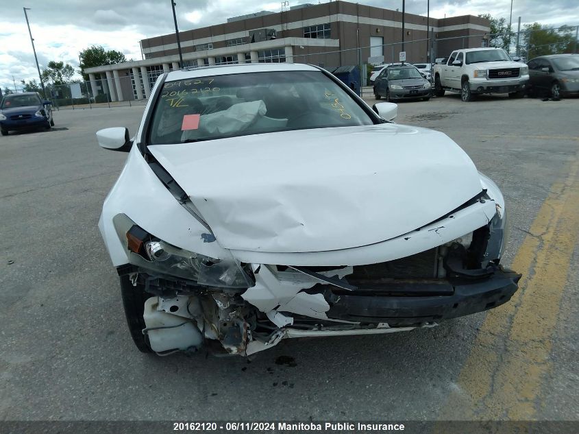 2009 Honda Accord Ex-L VIN: 1HGCS11839A800107 Lot: 20162120