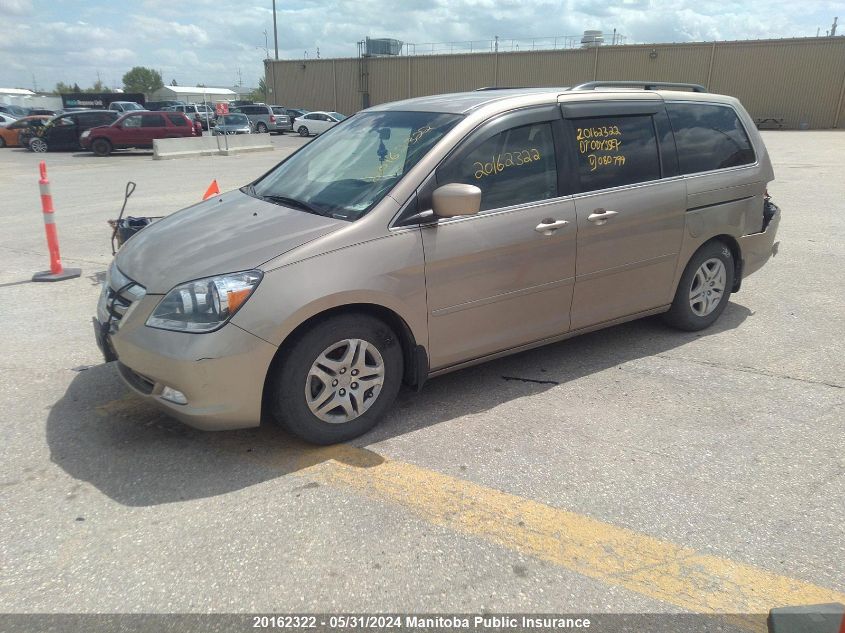 2007 Honda Odyssey Ex VIN: 5FNRL38457B080799 Lot: 20162322