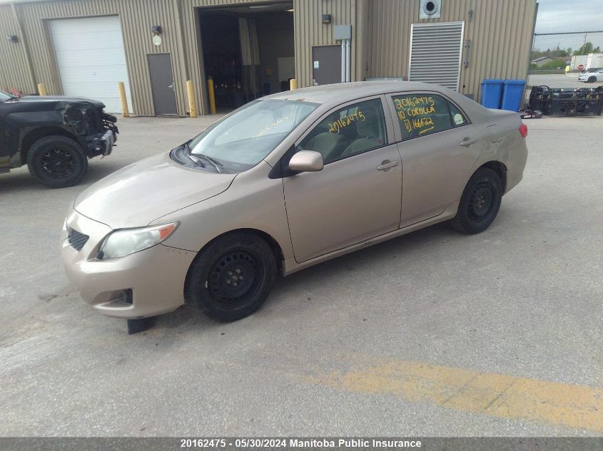 2010 Toyota Corolla VIN: 1NXBU4EE8AZ166622 Lot: 20162475