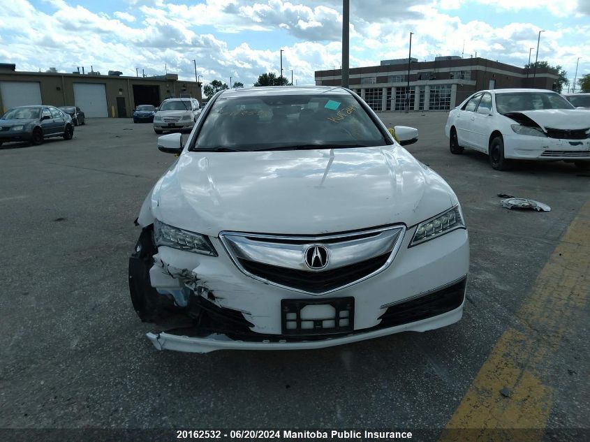 2017 Acura Tlx V6 VIN: 19UUB3F52HA800726 Lot: 20162532