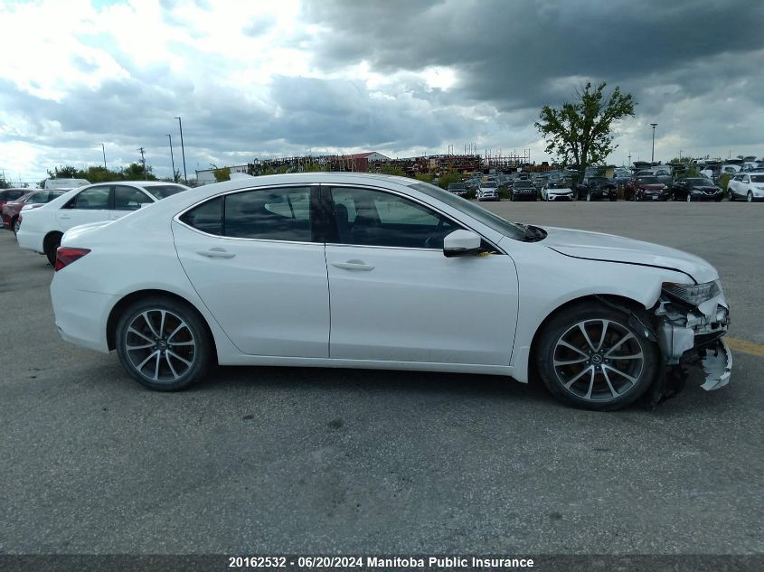 2017 Acura Tlx V6 VIN: 19UUB3F52HA800726 Lot: 20162532