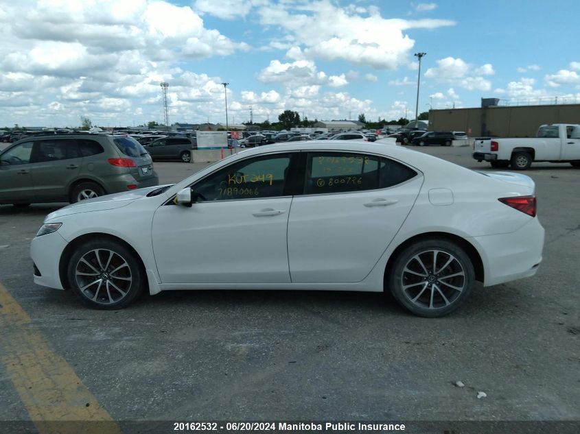 2017 Acura Tlx V6 VIN: 19UUB3F52HA800726 Lot: 20162532