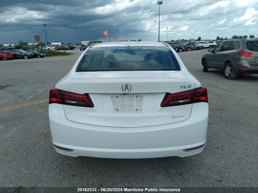 2017 Acura Tlx V6 VIN: 19UUB3F52HA800726 Lot: 20162532