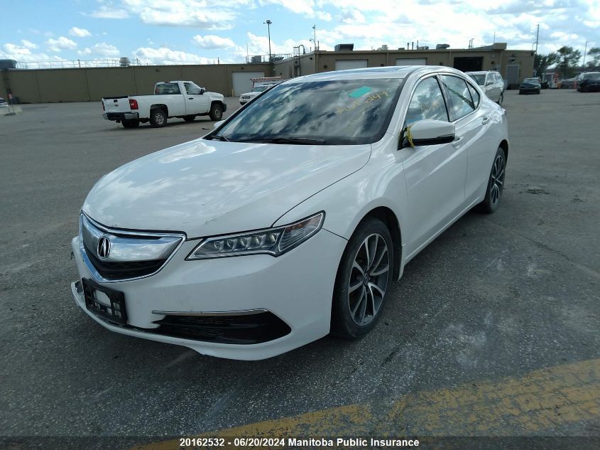 2017 Acura Tlx V6 VIN: 19UUB3F52HA800726 Lot: 20162532