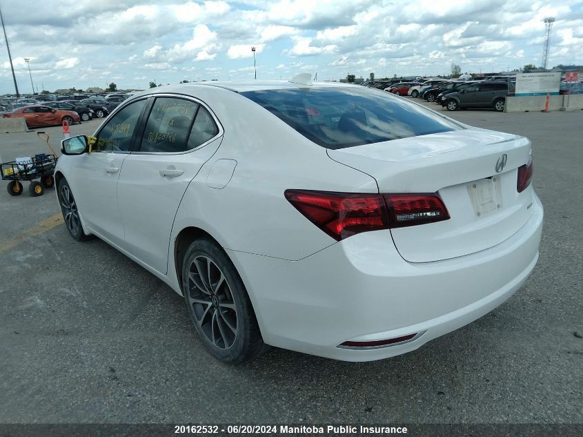 2017 Acura Tlx V6 VIN: 19UUB3F52HA800726 Lot: 20162532