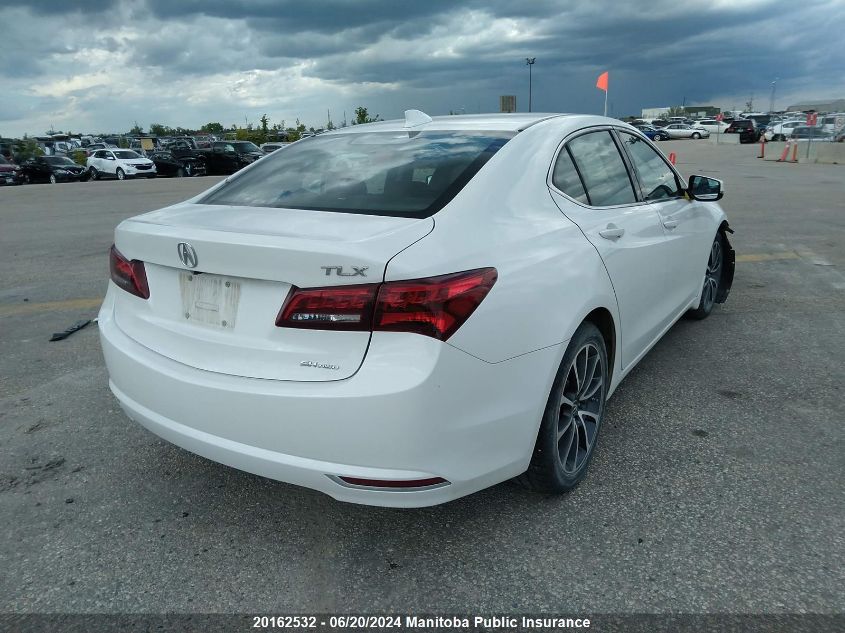 2017 Acura Tlx V6 VIN: 19UUB3F52HA800726 Lot: 20162532