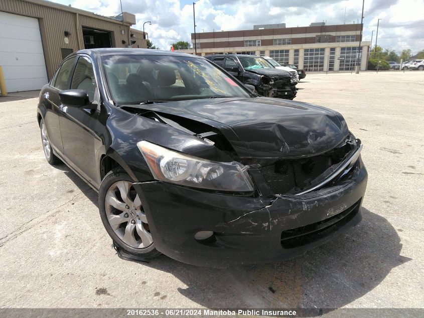 2009 Honda Accord Ex-V6 VIN: 1HGCP36819A800256 Lot: 20162536